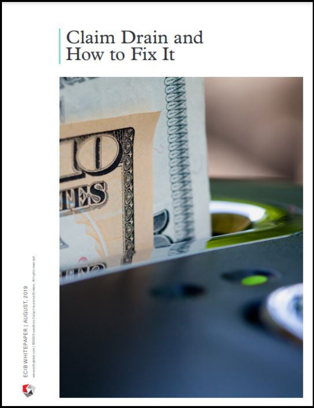 Claim Drain and How to Fix it Thumbnail with Border