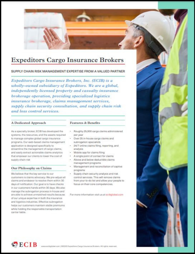 ECIB Overview Flyer Thumbnail with Border