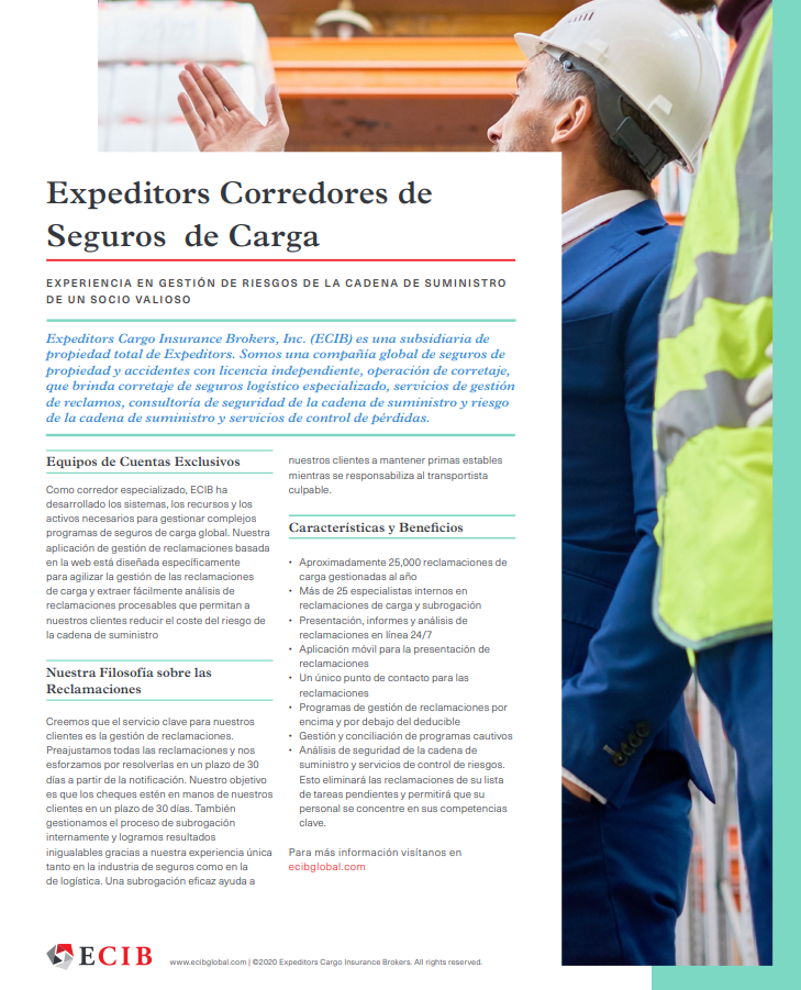 ECIB Overview Flyer (Spanish)