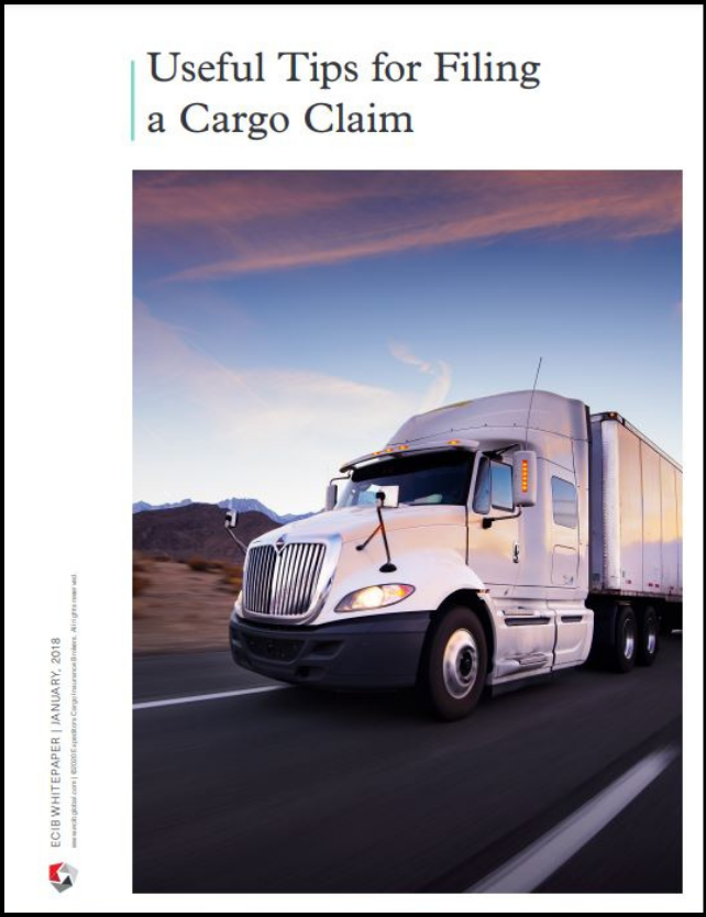 Useful Tips for Filing a Cargo Claim Thumbnail with Border